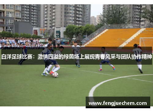 白洋足球比赛：激情四溢的绿茵场上展现青春风采与团队协作精神